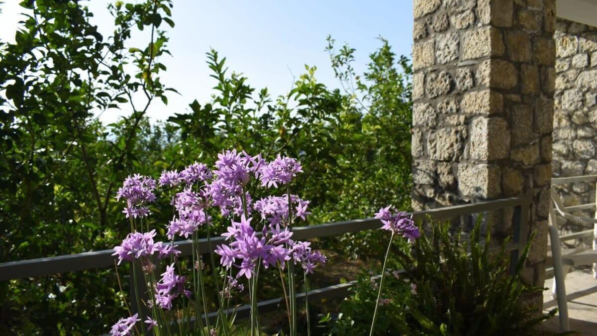 Willa Coastal Stone Hideaway With Stunning Scenery Kitriaí Zewnętrze zdjęcie